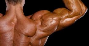Тренируем плечи: комплекс для дельтовидных мышц Как прокачать мышцы плеч