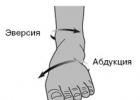 Мышцы предплечья: анатомия Тест со старой обувью